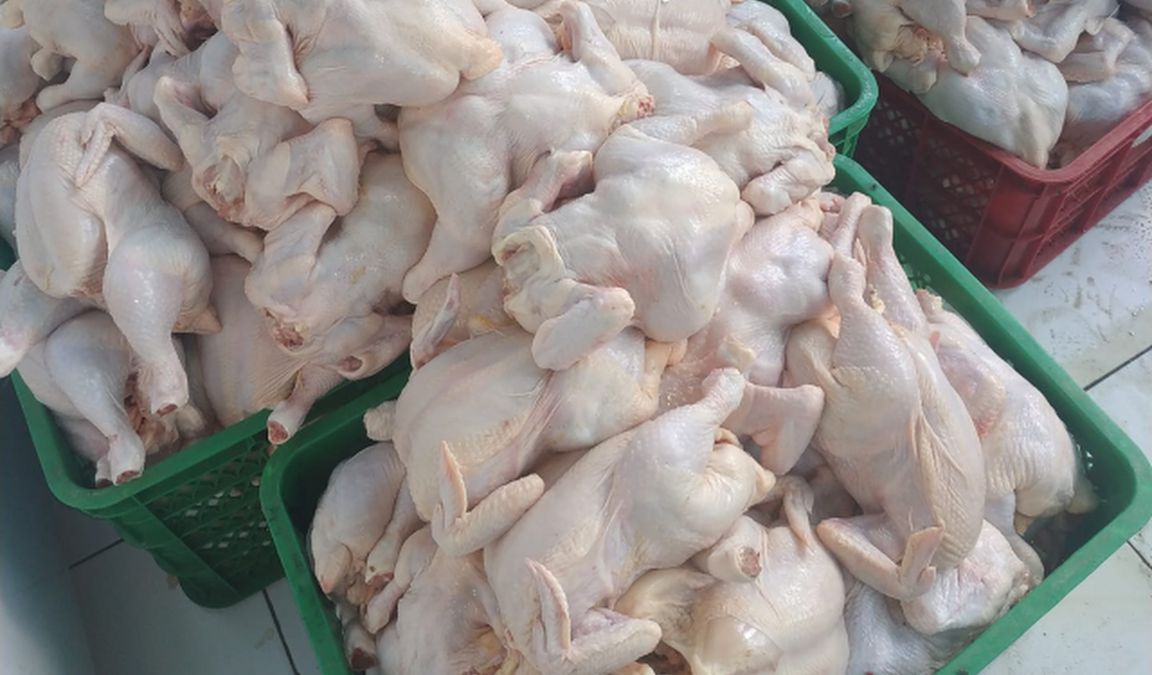 Cek Harga Ayam Broiler Hari Ini Langsung Dari Peternak Aplikasi Pertanian Media Agribisnis Gdm Agri