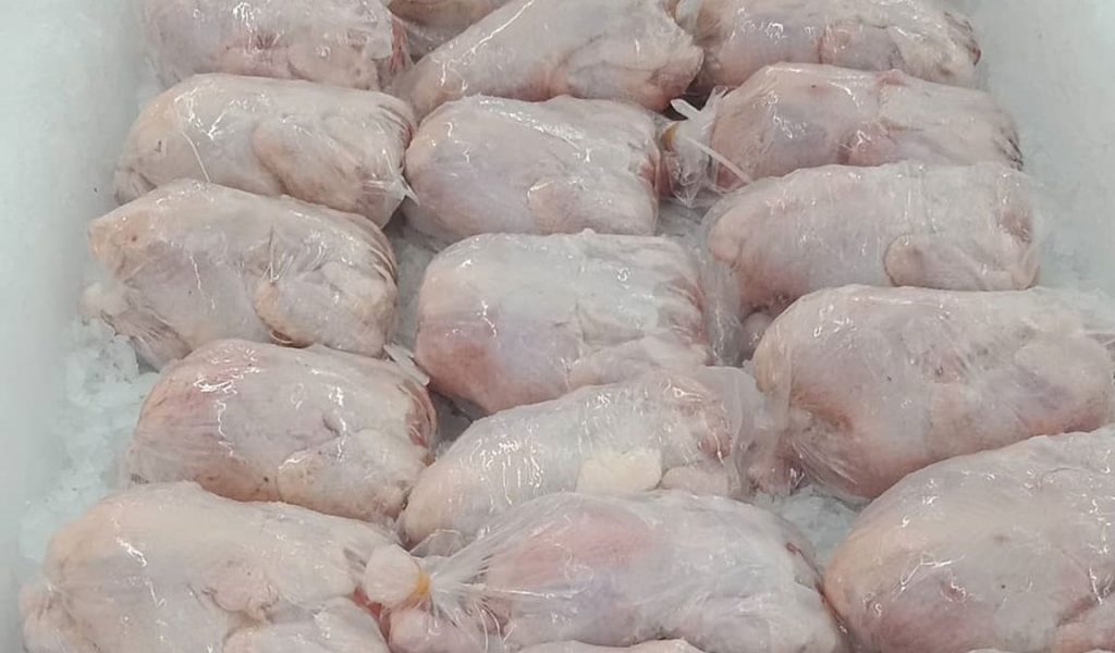 ayam broiler ekspor