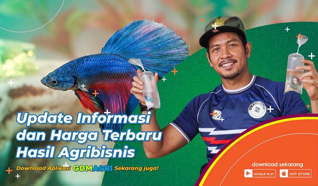 aplikasi pertanian GDM AGRI