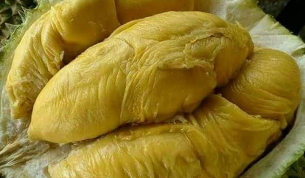 Durian Bawor 