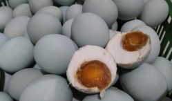 Ini Dia Update Harga Telur Bebek 2021