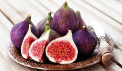 Berapa Harga Buah Tin Per Kg Update 2021